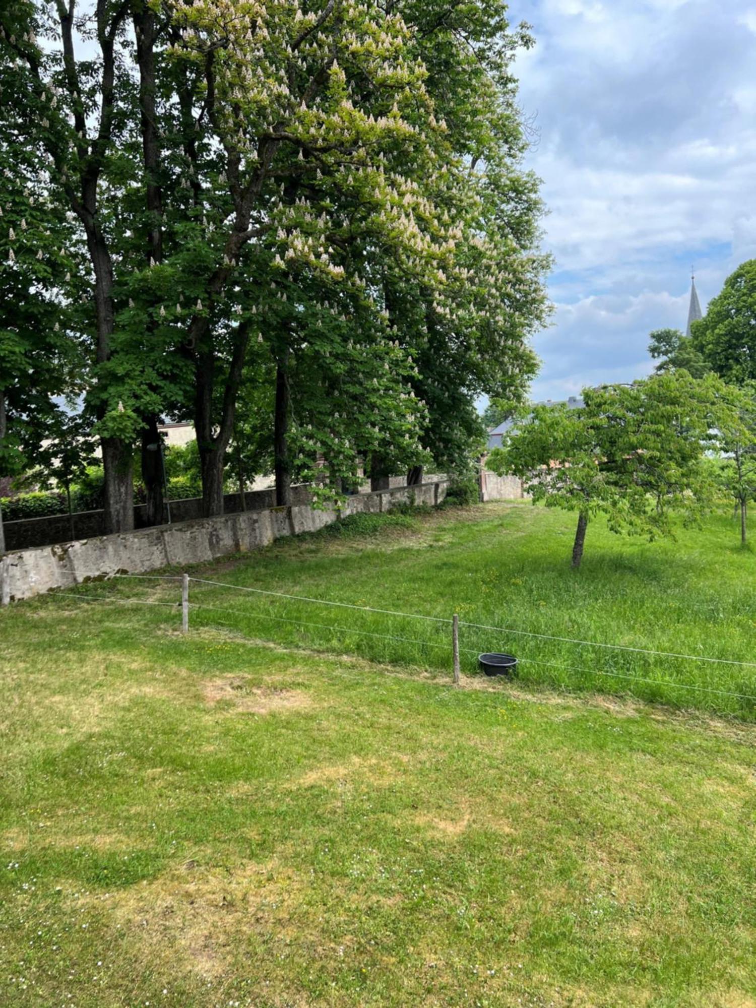 L' Extravagante Im Garten Von Schloss Schmidtheim Exterior foto